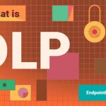 Data Loss Prevention Guide: What Is DLP, Risks & Solutions