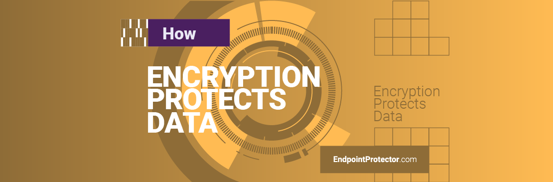 Data Encryption: Protecting Sensitive Information in the Digital Age