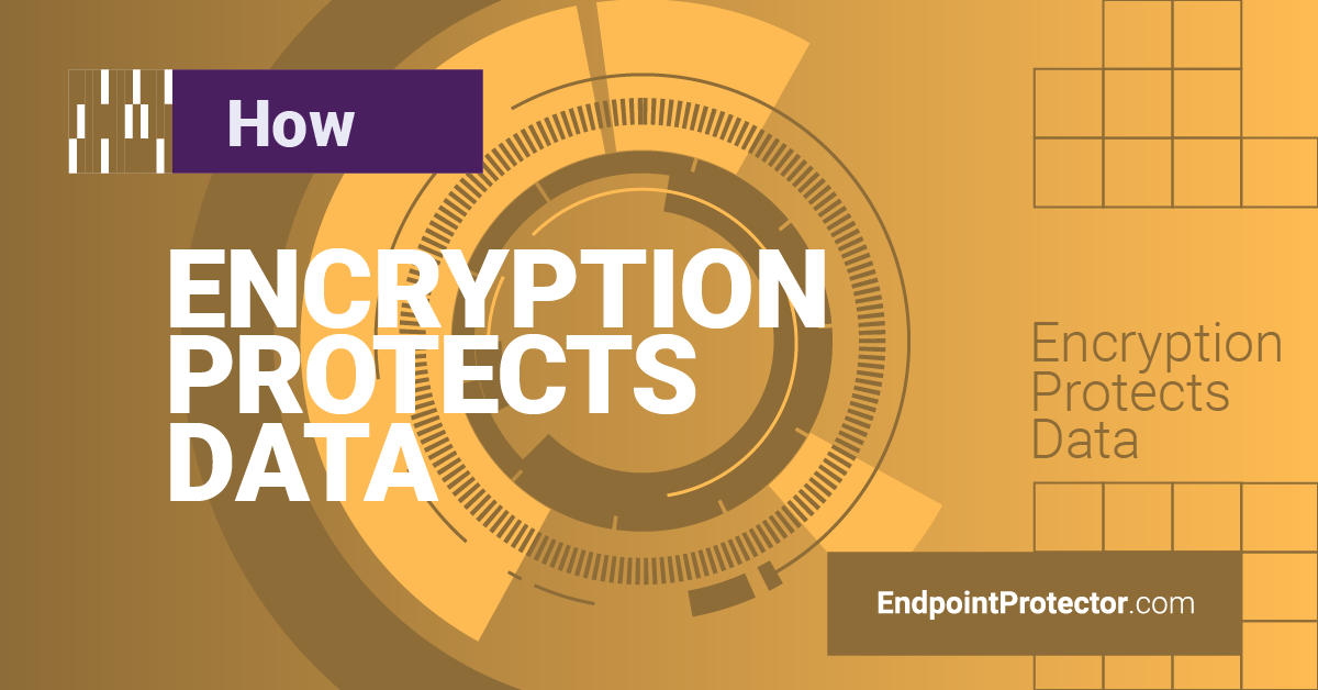 Understanding Data Encryption: Protecting Sensitive Information in the Digital Age